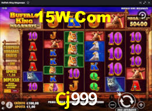 Experimente o Login Seguro Premium no Cj999