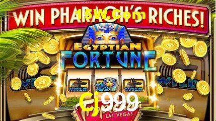 Live Casino Cj999